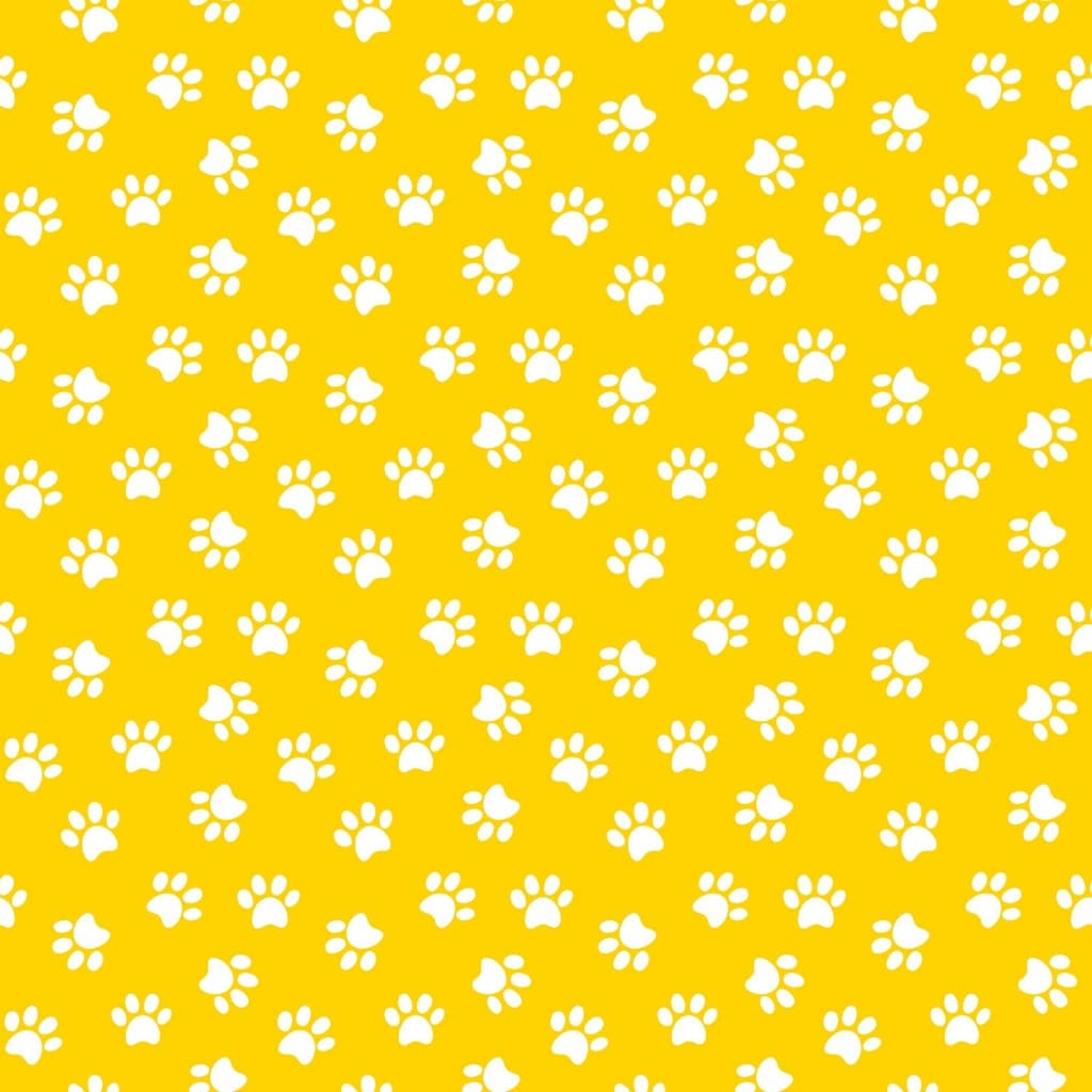 Novidades Lençois Pets O Carinho que seu Pet Merece em todos os Momentos. Ele dorme como um cão e acorda como um rei.