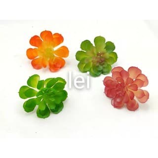 Suculenta avulsa (FR-223)