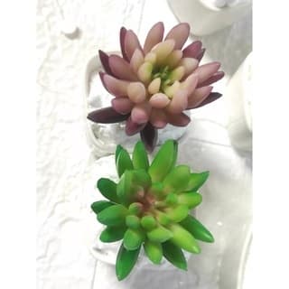 1unidade Mini Suculenta avulsa FR-225