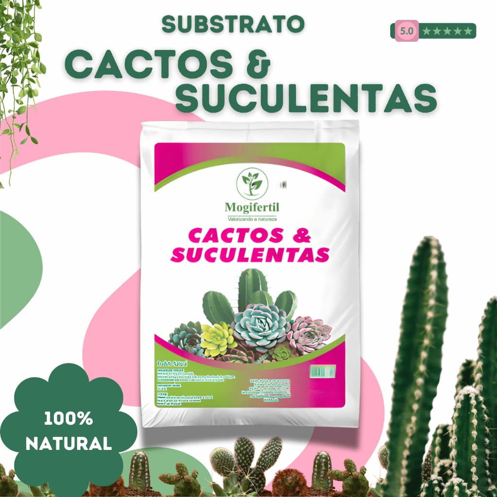 Substrato para Cactos e Suculentas 5Kg - Drenagem, Aeração e Crescimento Saudável das Plantas