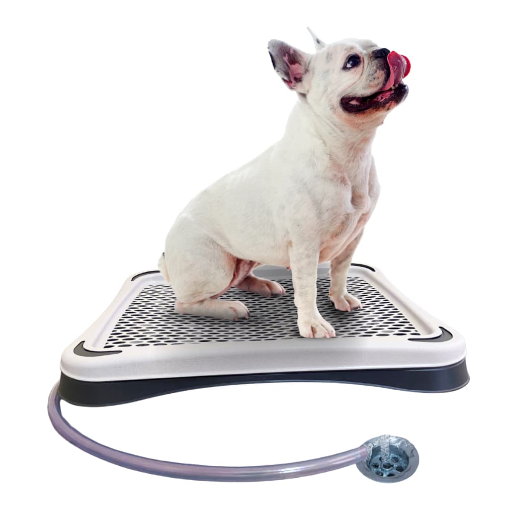 Banheiro Sanitário Com Dreno E Mangueira Lavável Para Cães - PequenosPets Original