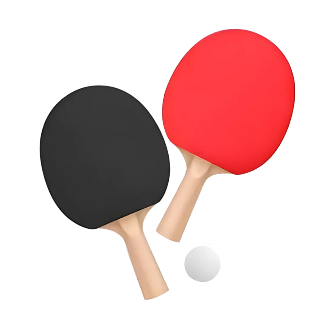 Kit Ping Pong Tenis De Mesa 2 Raquetes 1 Bola
