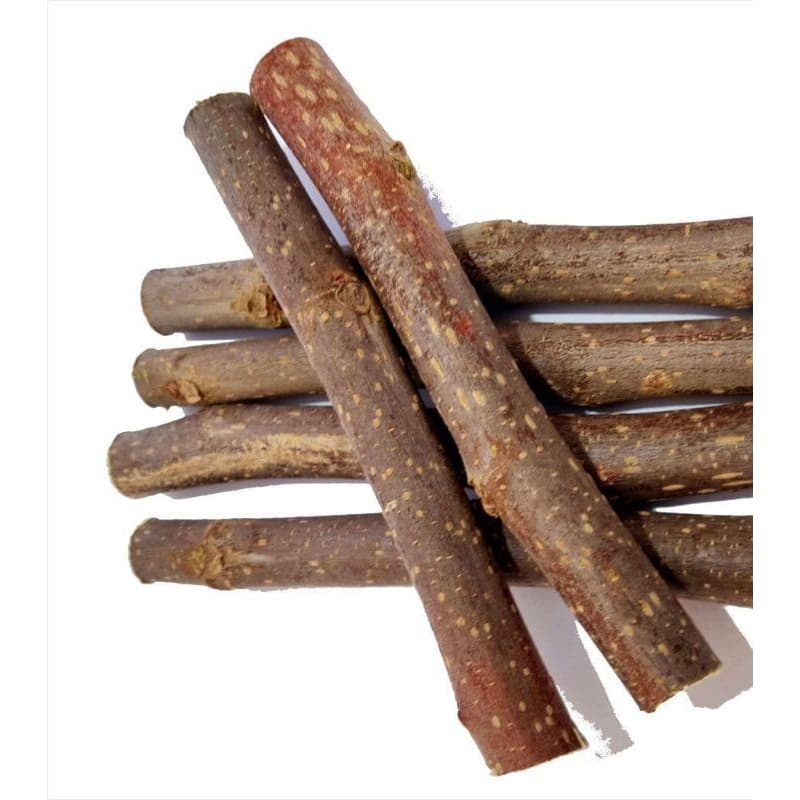 GALHOS DE AMORA NATURAL PARA AVES E ROEDORES COMO COELHOS HAMSTER CHINCHILA ORGANICO AMOREIRA