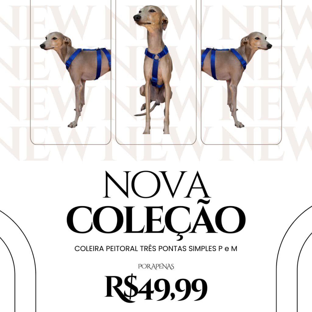 COLEIRA PARA GALGO ITALIANO OU WHIPPET PEITORAL TRÊS PONTAS SIMPLES P e M