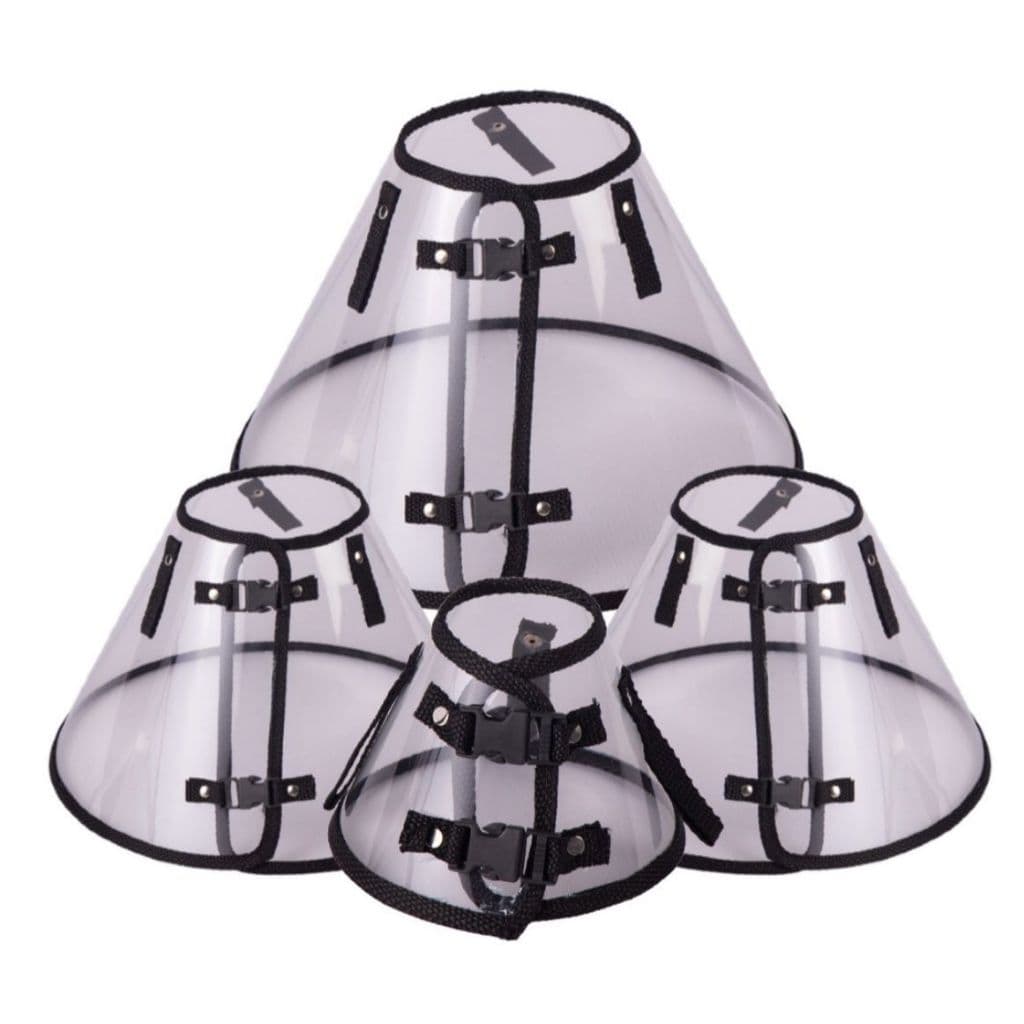 Colar Elizabetano Premium para Cachorro e Gato Tamanhos 01 a 11