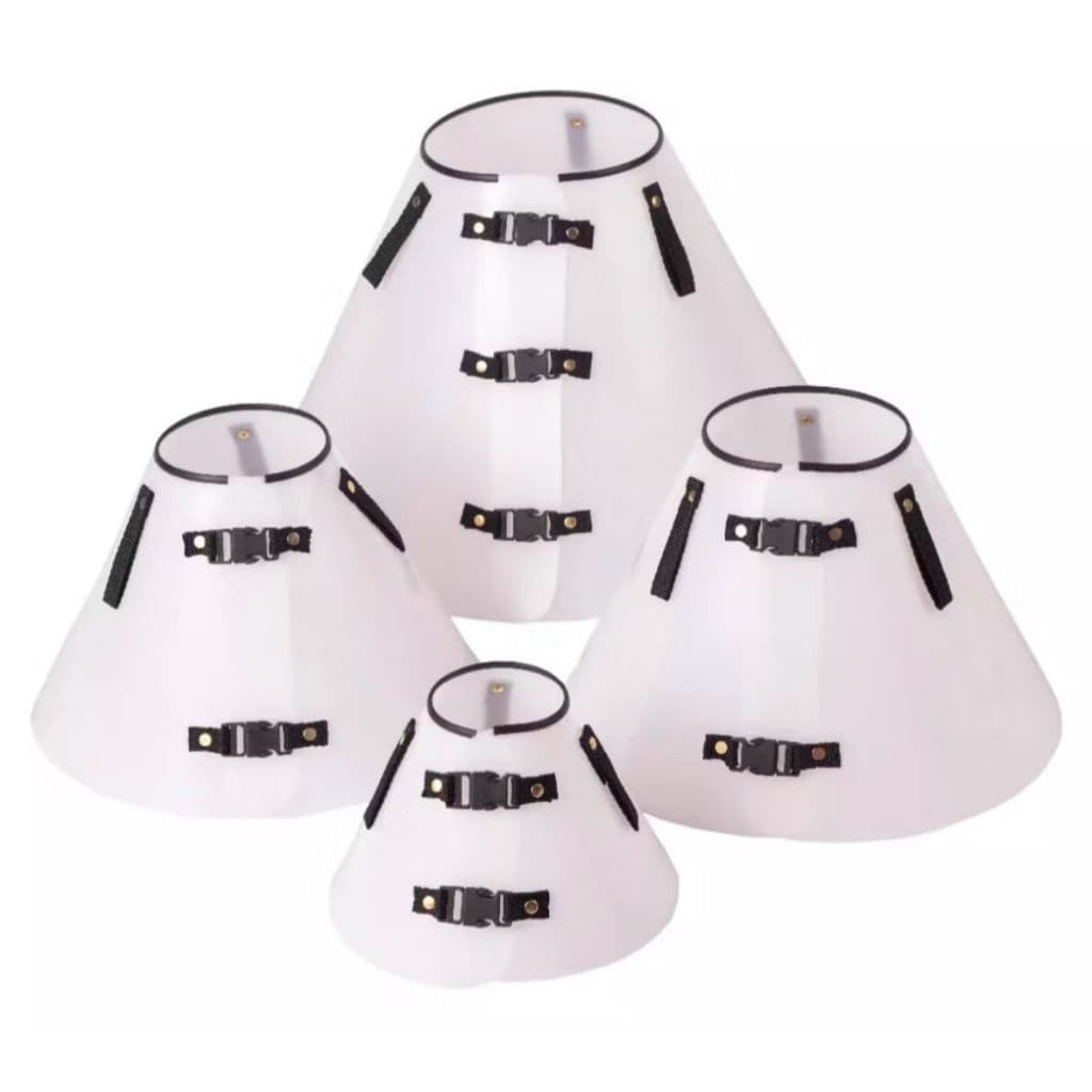 Colar Elizabetano Tradicional Colorido para Cachorro e Gato Tamanho 01 a 12