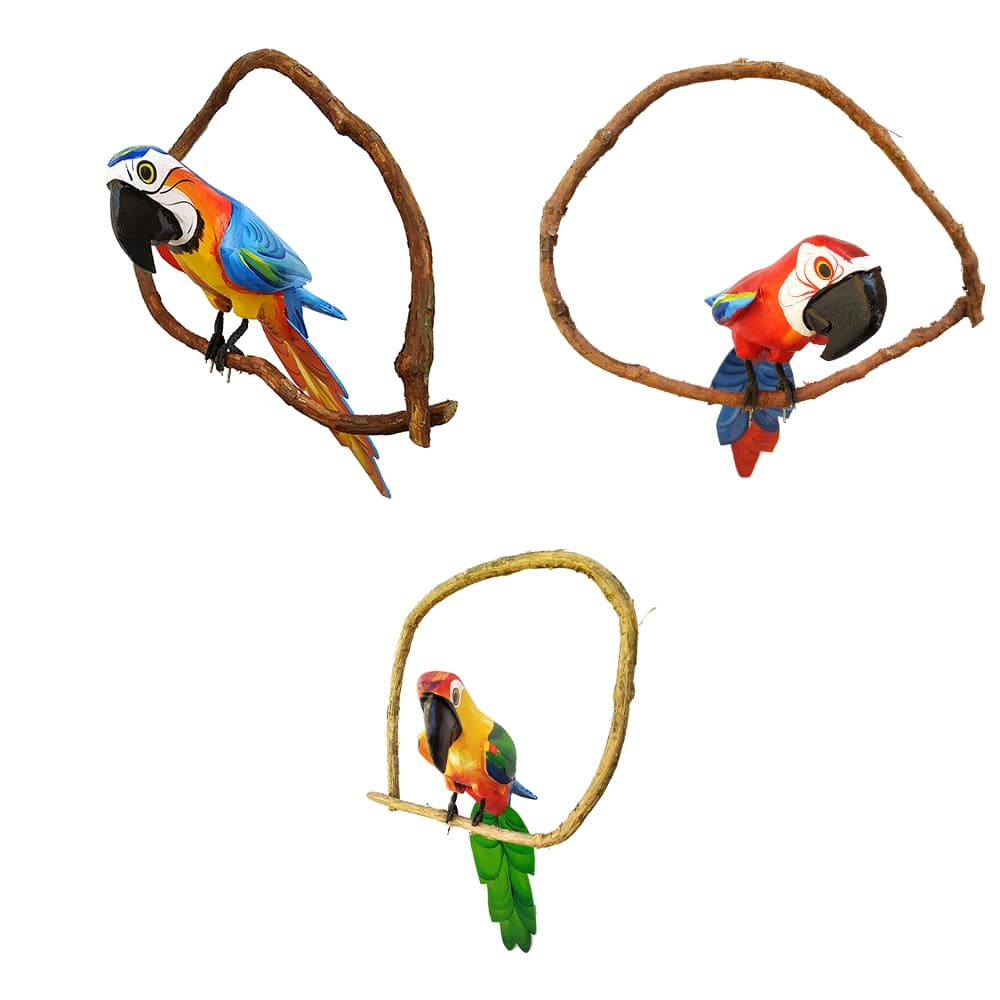 Kit 3 Araras Pássaros De Madeira No Cipó Grande Artesanal Decoração