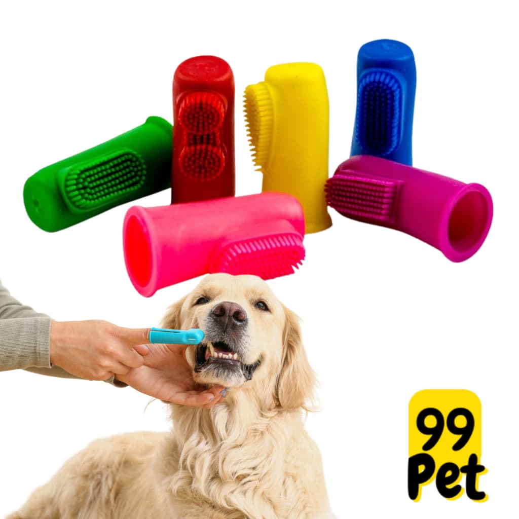 Kit 2 Dedeiras Solapa Catdog macia cachorros e gatos dentes