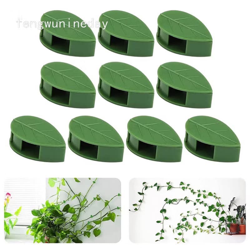 Kit 10/30/50 Gancho Para Planta Trepadeira Adesivo Parede Suporte Fixação