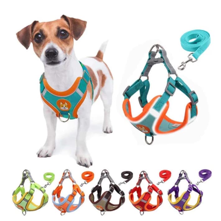 Coleira Peitoral Cachorro e Gato, conjunto de guia + coleira tipo colete para pet pequenos e médios Várias Cores