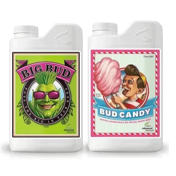 Fertilizante Big Bud + Bud candy 2x50ml Advanced Nutrients