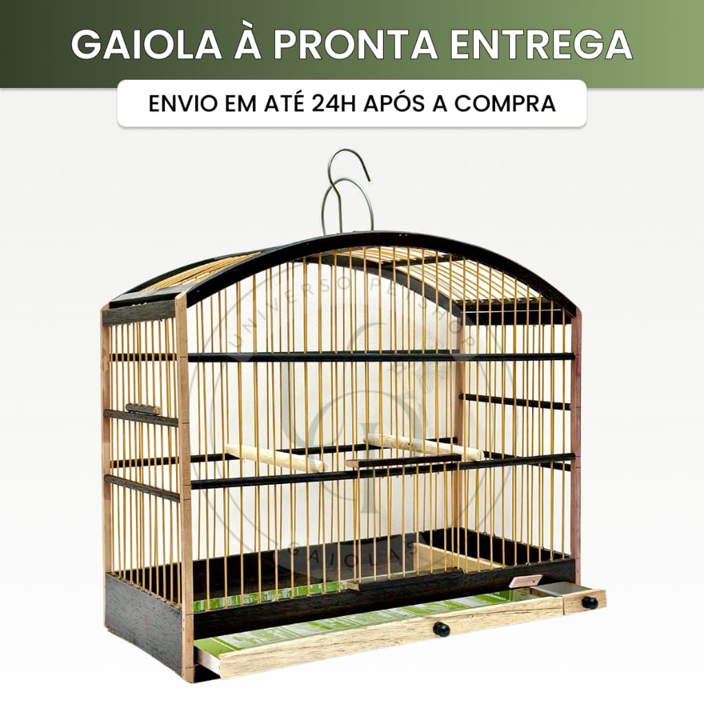 Gaiola De Passeio 37cm Simples Para Pássaros Pequenos Cocho Baixo Coleiro Papacapim