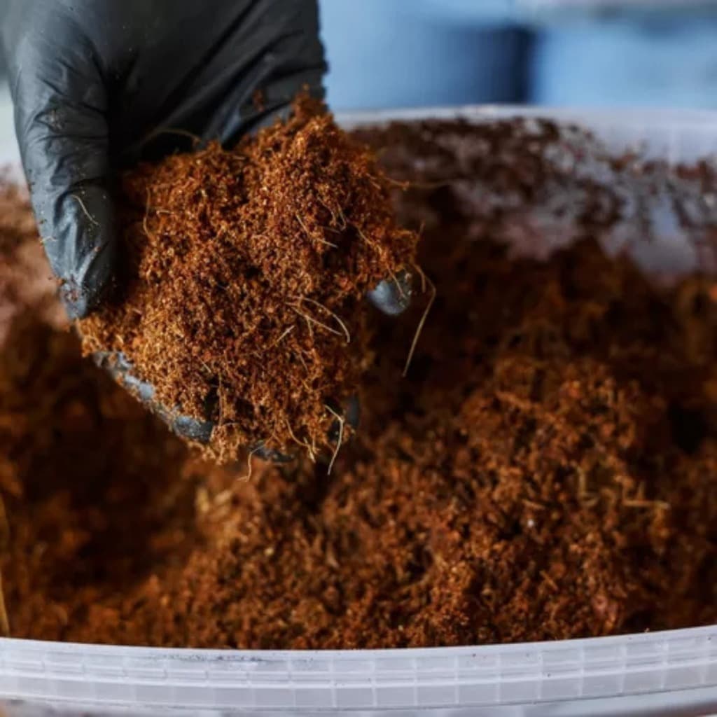 Fibra de coco 10L Para Jabutís, Aranhas, Serpentes, Cágados Tartarugas Para Terrários Criatórios