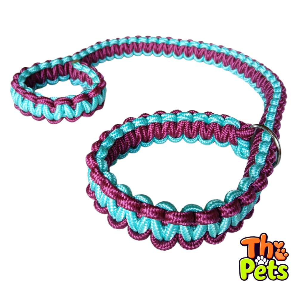 Guia Unificada para Passeio  Coleira Resistente para Cachorro Labrador