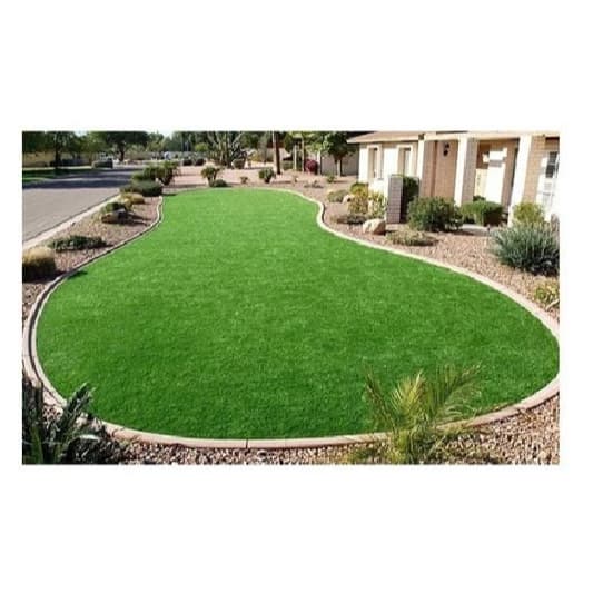 10.000 Sementes Grama Bermuda Folha Fina De Jardim Para Muda- Envelope 3g