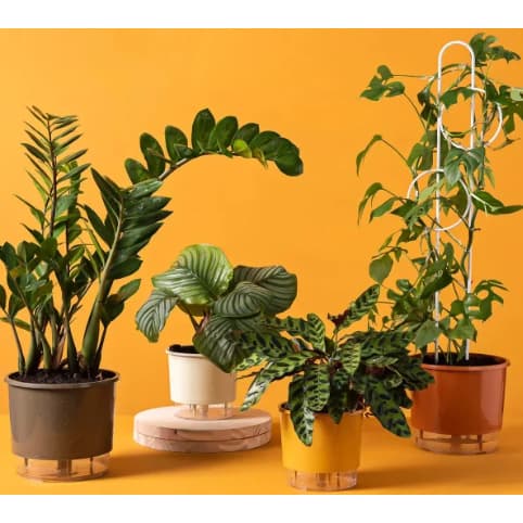 VASO AUTOIRRIGÁVEL N03 Médio 16 x 14cm - COLEÇÃO TERRAZO -