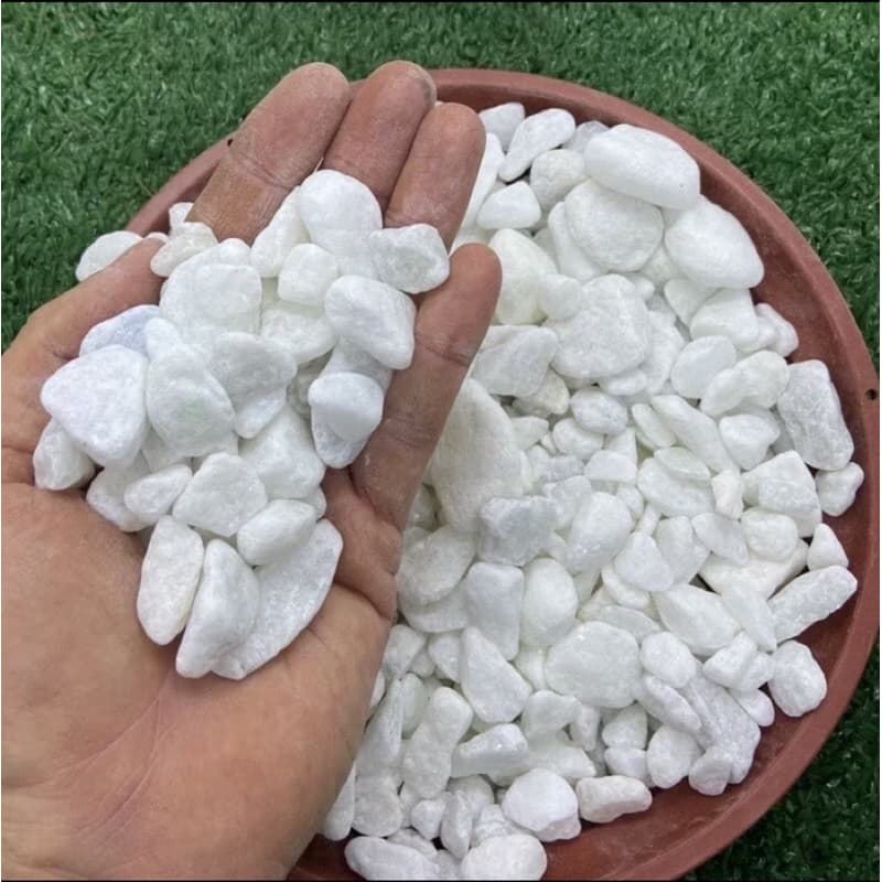 Pedra Dolomita Branca Seixo Decorativa para Aquarios Vasos Jardins Ornamentais