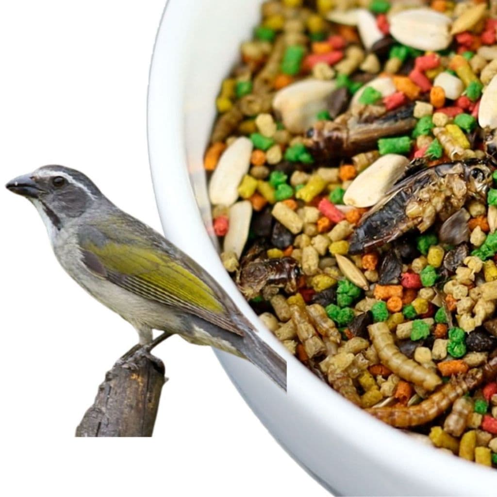 Ração Trinca Ferro Pixarro Extrusada Inseto Com Tenebrio Gigante Pássaro Preto e Sabia