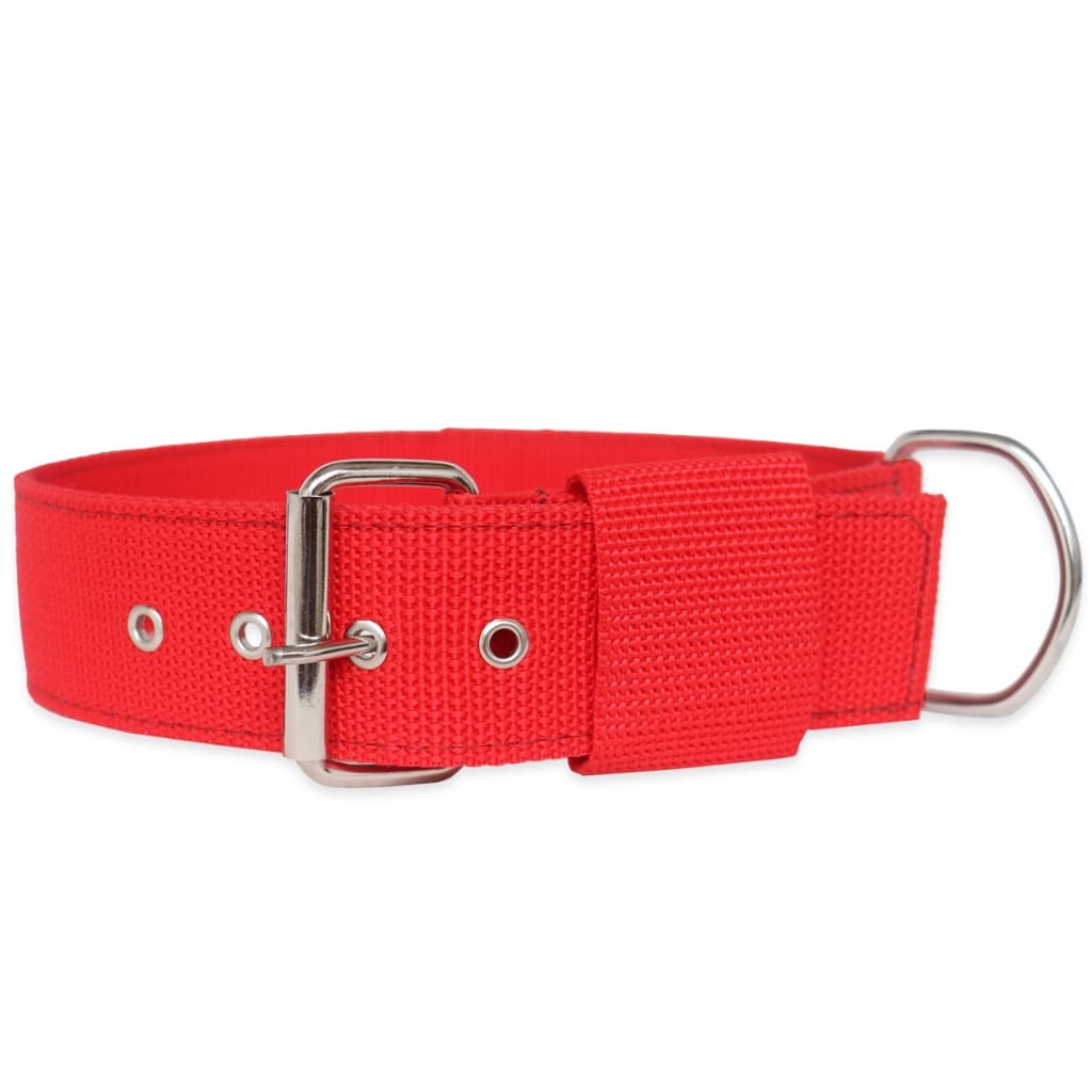 Coleira Nylon Dupla Grande Porte Para Cachorros Pit Bull Pastor Raças Grandes Envio Imediato