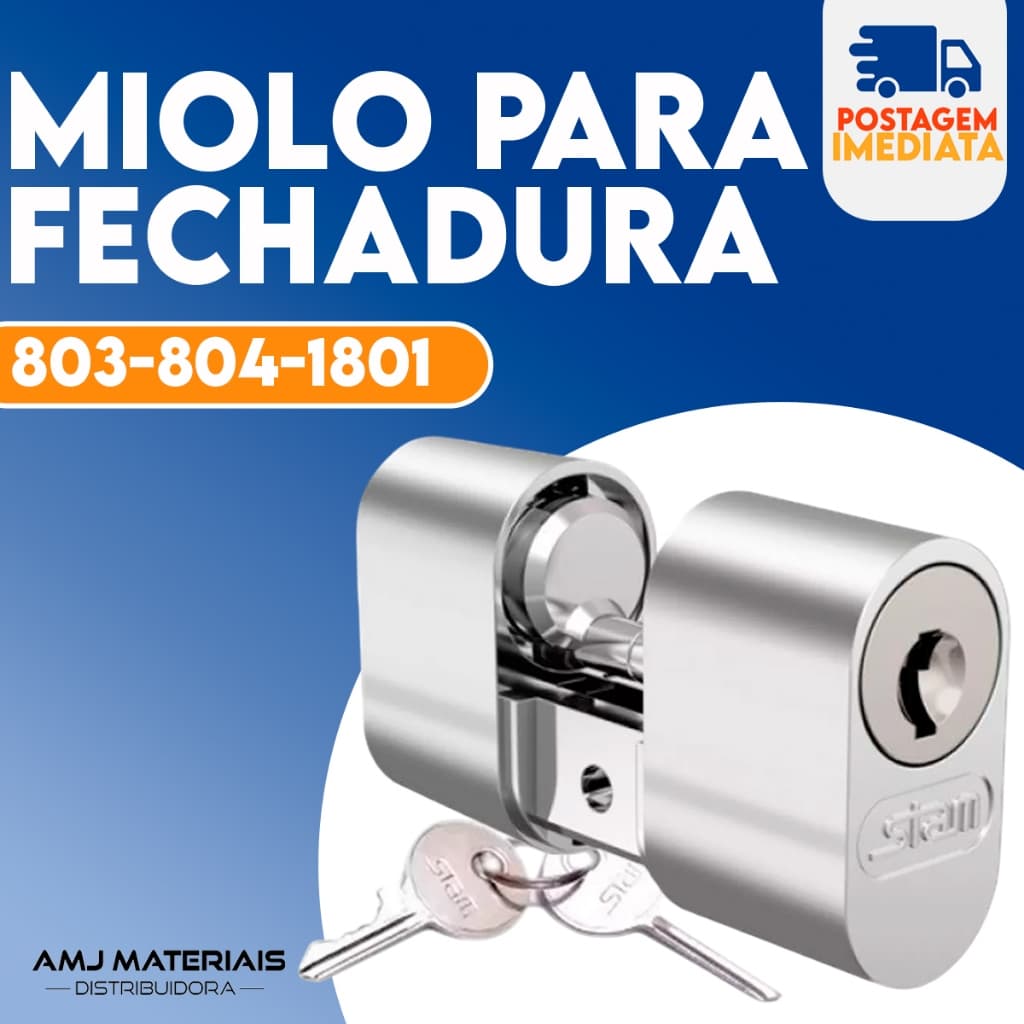 Cilindro Miolo P/ Fechaduras Gorje Cromado C/ 2 Chaves Stam