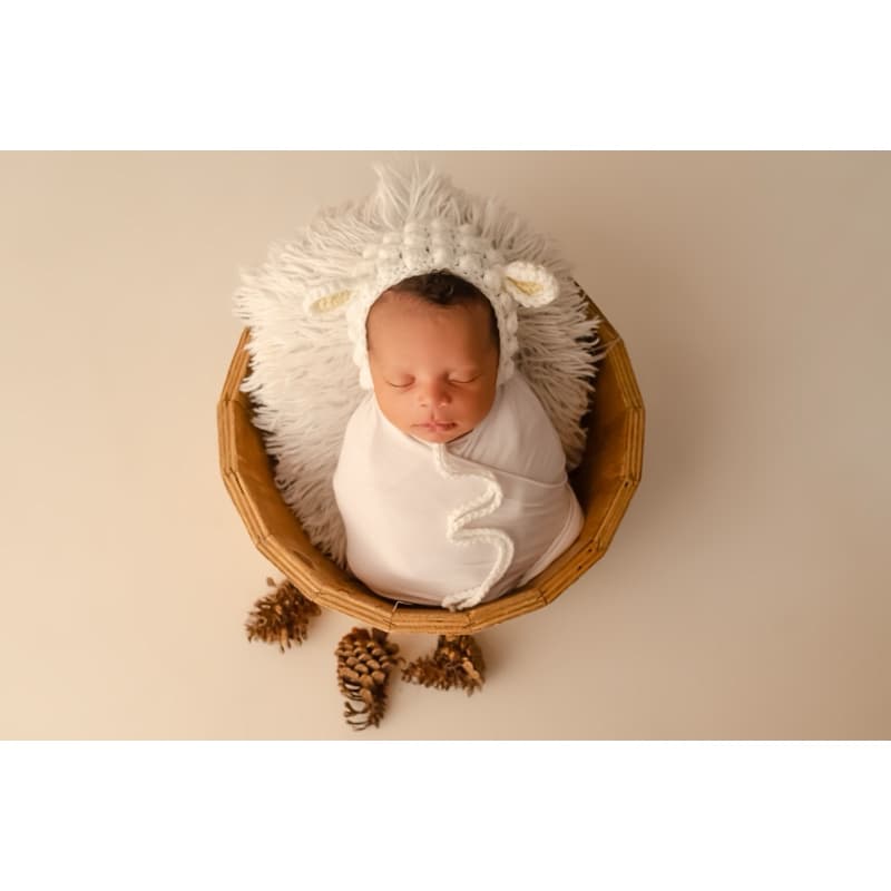 Touca ovelha fotografia recém nascido newborn