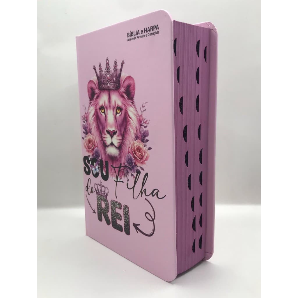 Bíblia Sagrada Tamanho Médio 12,5x19 cm Com Harpa palavras de Jesus em vermelho Leão Filha do Rei