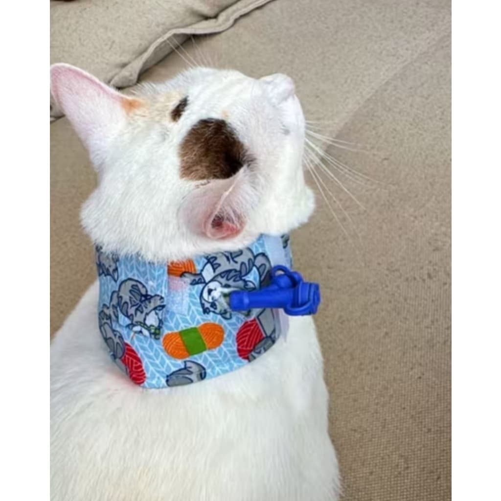 colar contenção de sonda esofágica pra gato