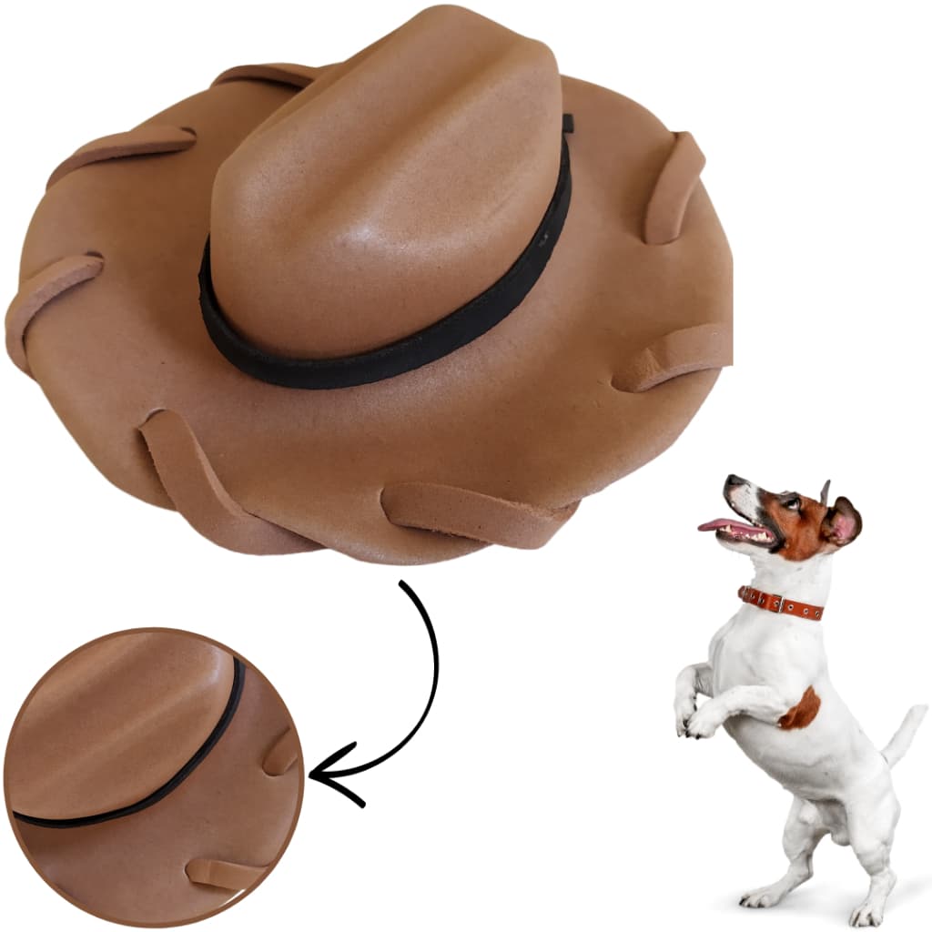 2 Chapéus Pet Woody Cowboy Toy Story Para Festa Cães Gatos Fantasia