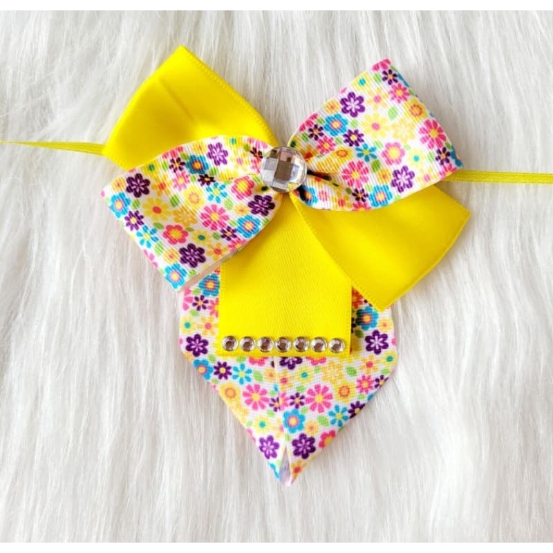 Gargantilha pet para fêmea, kit com 10 unidades/ banho e tosa