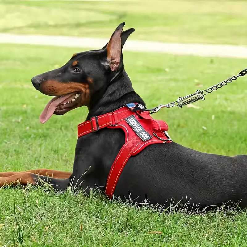Peitoral Com Regulagem Coleira Refletiva Cachorro Porte Medio e Grande Reforcado Confort Ajuste