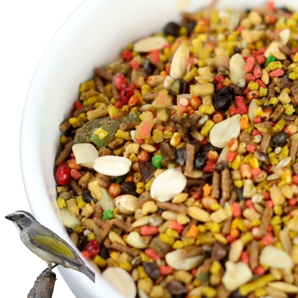 Ração Extrusada Turbinada Trinca Ferro Pixarro Frutas Insetos Sementes Estimula o Canto 500 g