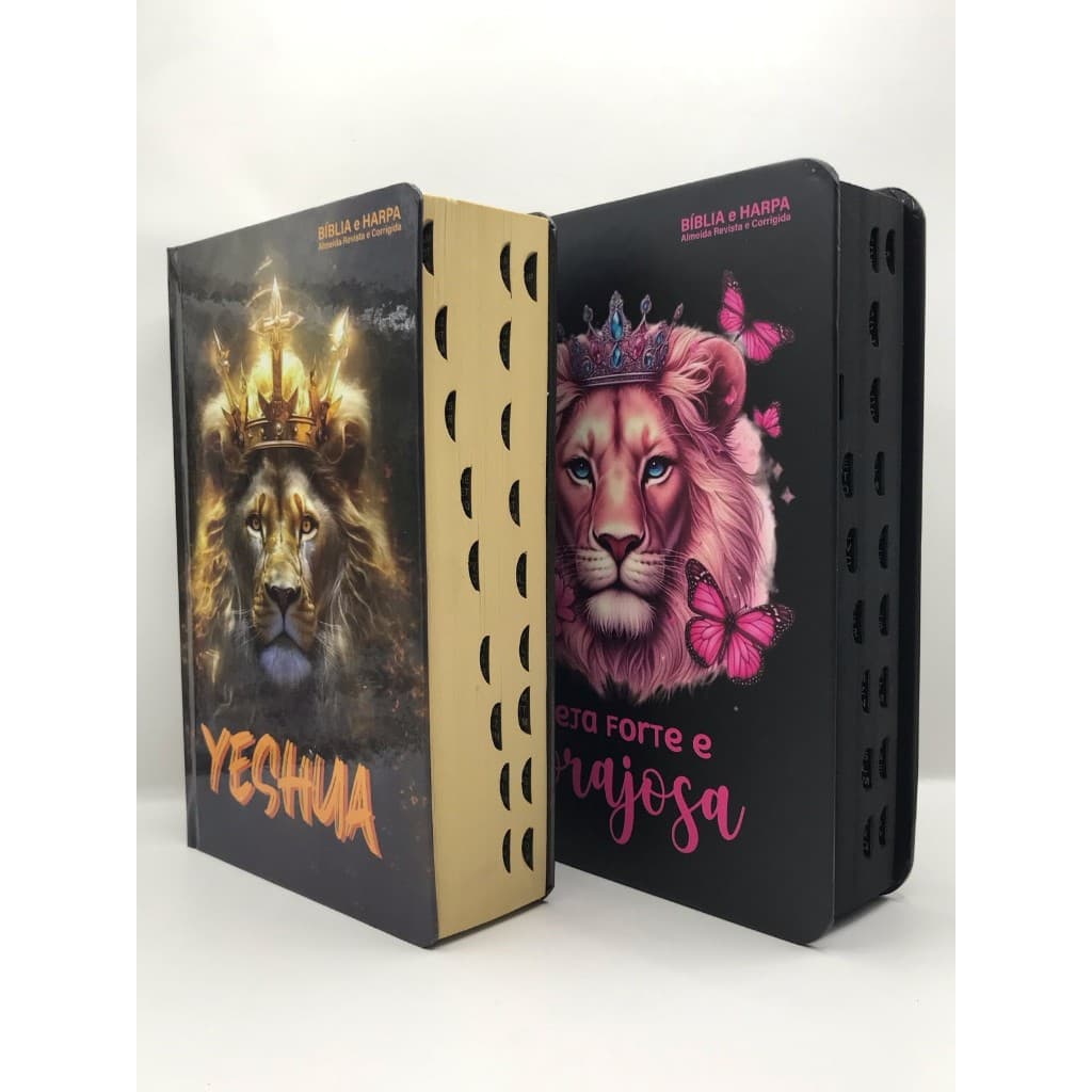 Kit 2 Bíblias Sagrada Tamanho Médio 12,5x19 cm Com Harpa Palavras de Jesus em Vermelho