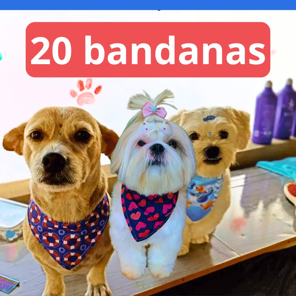 Kit 20 Bandanas Sortidas para Pet Shop - Banho e Tosa - Estampas para Cachorros e Gatos