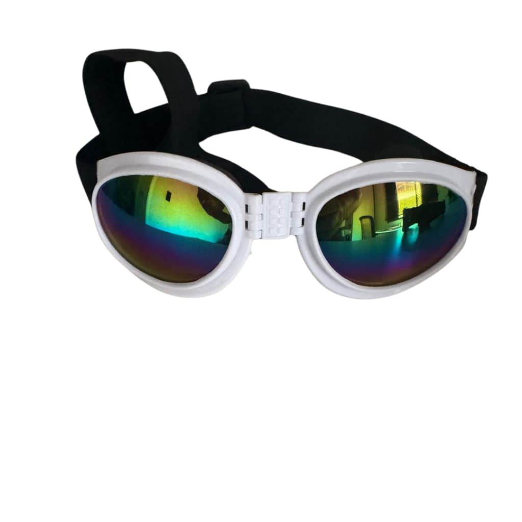 Óculos  Pets Com 2 Elásticos De Fixação   Estilo Motoqueiro Pet Fashion