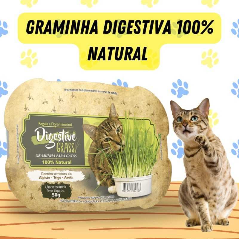 Graminha Gato Auxilia Digestão Pet Elimina Toxinas Digestive Grass Ipet 50g