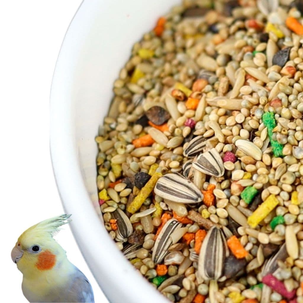 Ração Para Calopsita e Periquito Mistura Especial Balanceada 500 gramas