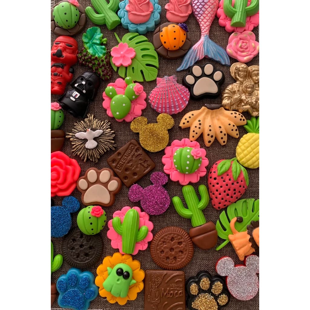 Kit 20 Imãs de Geladeira Artesanato em Biscuit Tema Jardim Flores Cactos Biscoitos