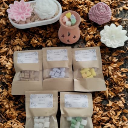 Vela Aromática Wax Melts - Pastilhas Aromáticas 16gr Varios Aromas escolha o seu preferido.