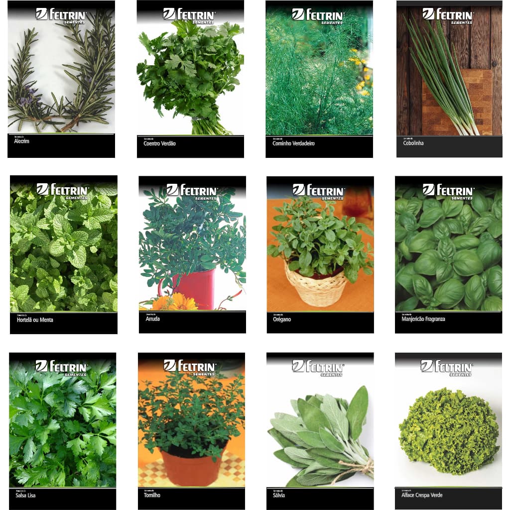 Sementes de Temperos Alecrim Manjericão Salsinha Coentro Tomilho Oregano Salvia Hortelã