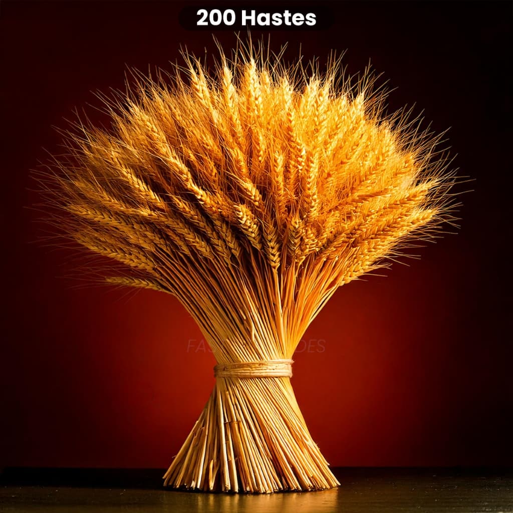 400 Hastes Trigo Seco Para Decoração Elegante Convites Casamento Arranjos Artesanato Maços Natal