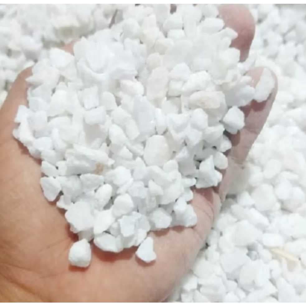 Pedrinhas Brancas Decorativa Ornamental para Vasos de Plantas flor Aquarios Jardim argila expandida e Casca Pinus seca