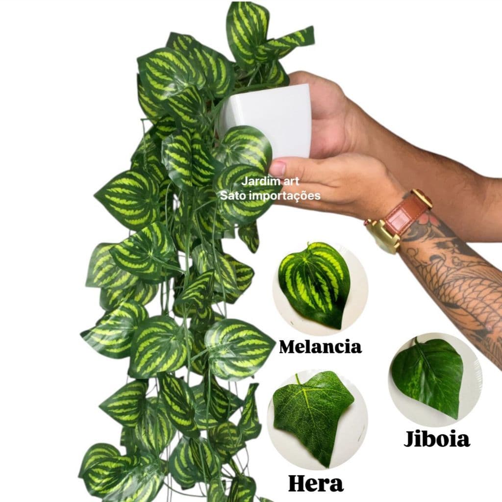 Kit Completo: Hera Jiboia ou Melancia 3 Pendente no Vaso Branco quadrado G Moderno