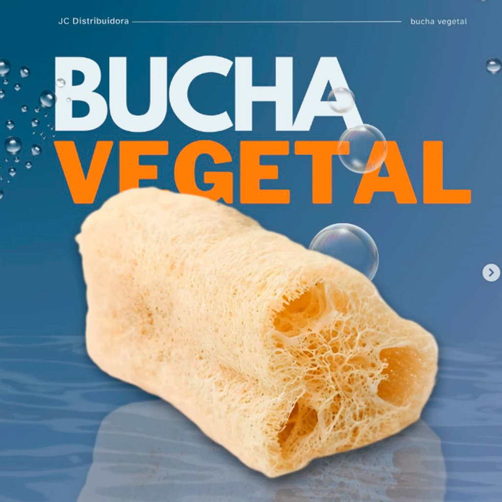 Esponja Vegetal KIT 1/3/5/10/20 Bucha Natural 100% Ecológica Esponjas Atacado