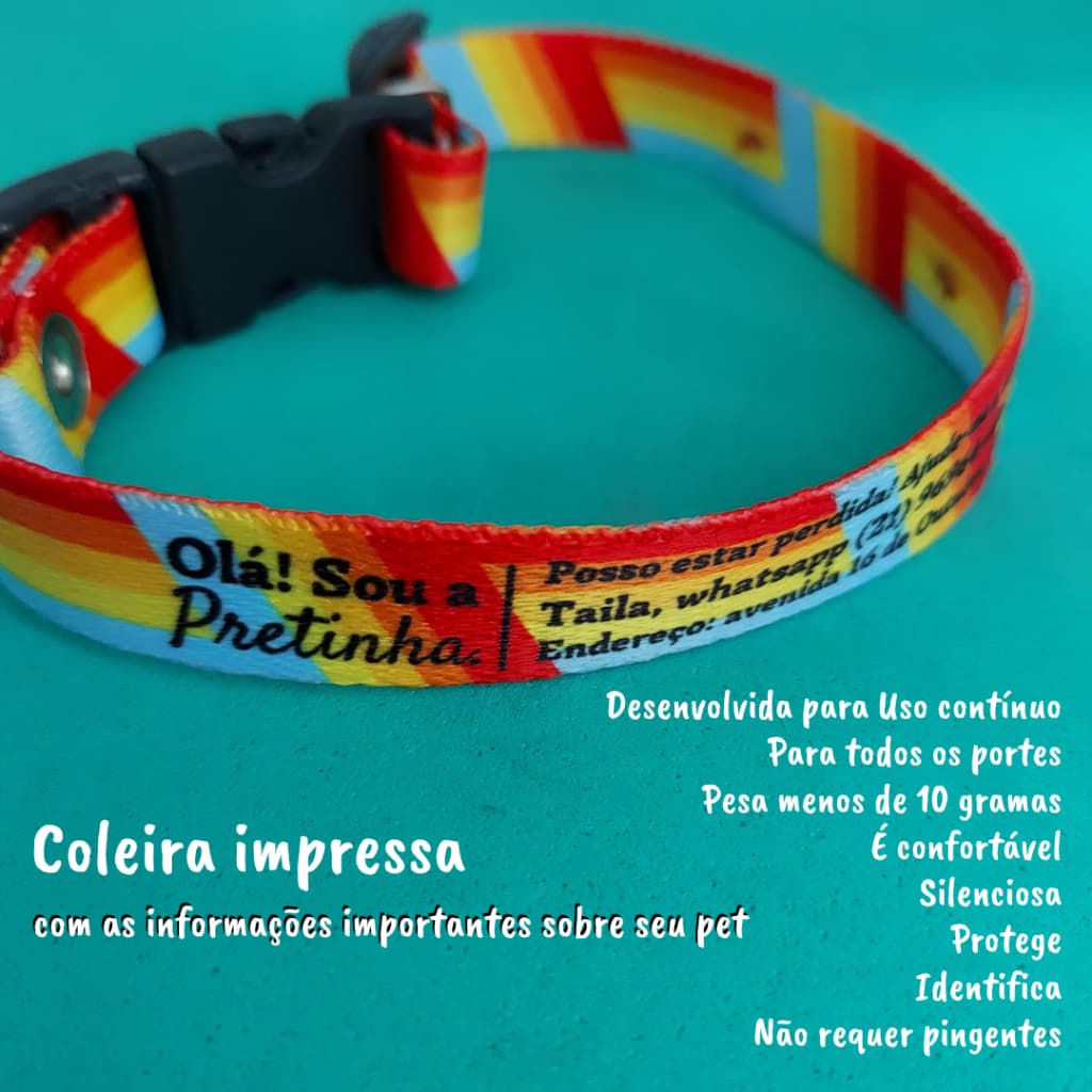 Coleira de identificação impressa para cães e gatos