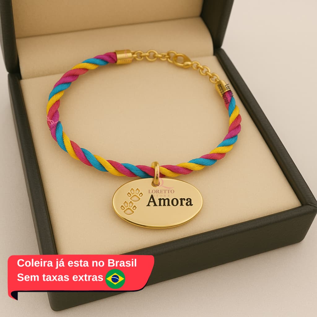 Coleira de cachorro com nome pingente Gravado a Laser Personalizado DA3