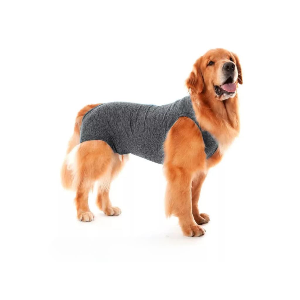 Roupa Protetora Pós Cirúrgica Pet Macho Femea Tam. 01Ao 13 com fecho de zi per castração