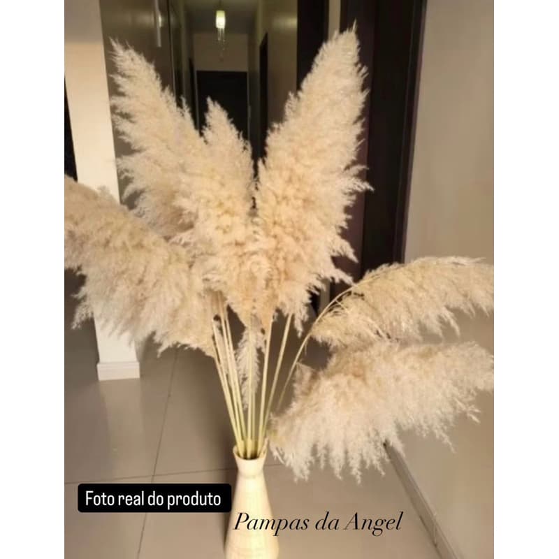 Kit com 10 Plumas de Capim dos pampas + extensores (Decoração natural)