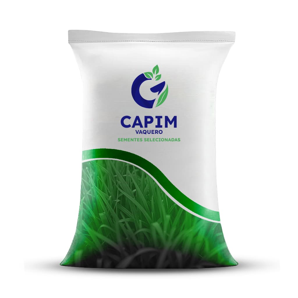 2 Kg Sementes De Capim Vaquero