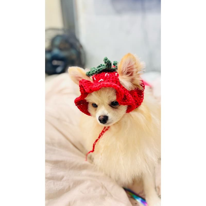 Touca Gorro de Crochê para Pet Gato Cachorro Chapéu– Modelo Moranguinho