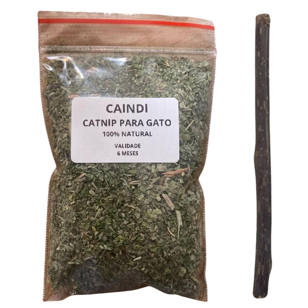 Catnip Caindi Premium 2g/6g/10g Para Gato - Orgânico e Natural - Matatabi Disponível
